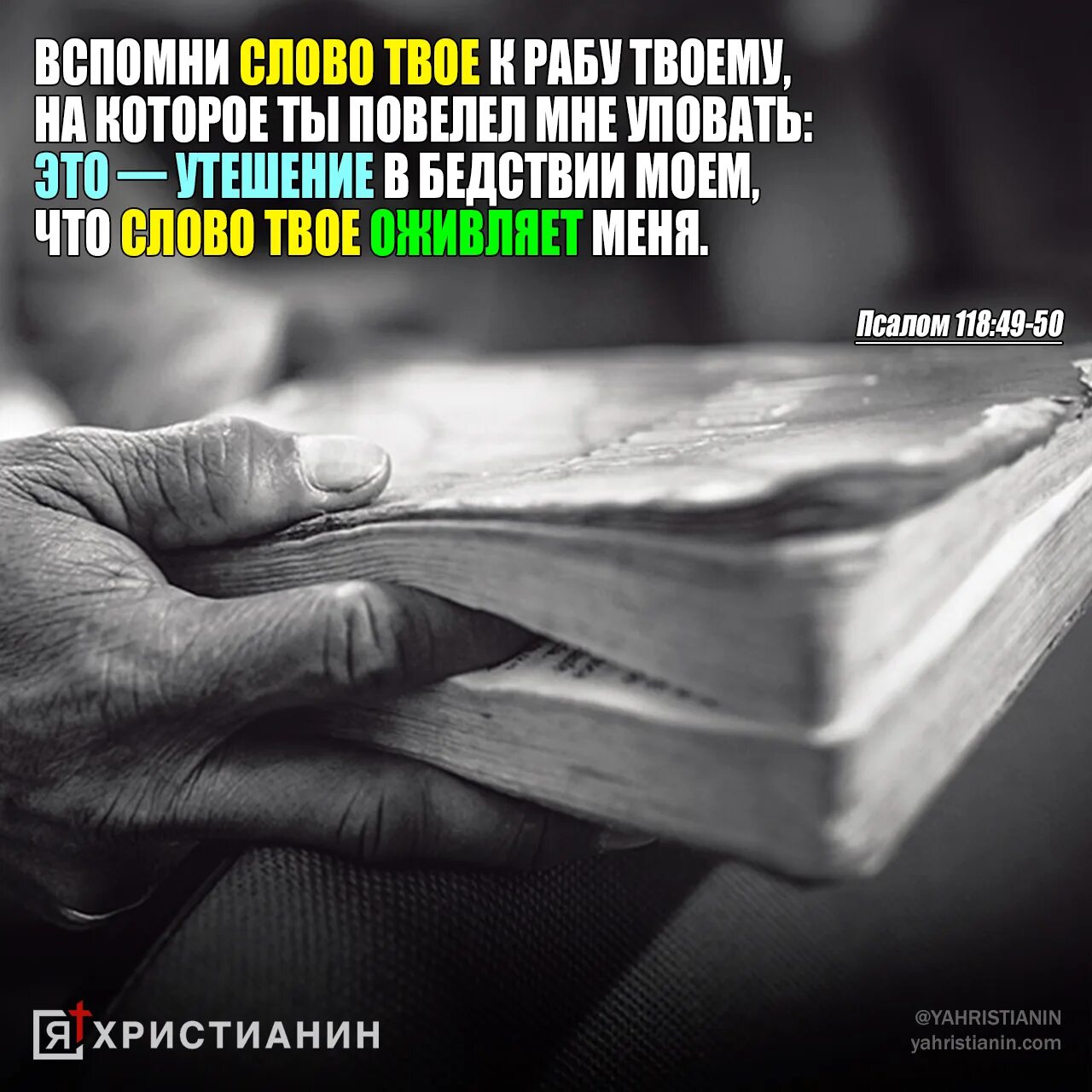 Псалтырь 118. 118 Псалом. Псалом 118:11. Оживит и ваши смертные тела. Библия Псалом.