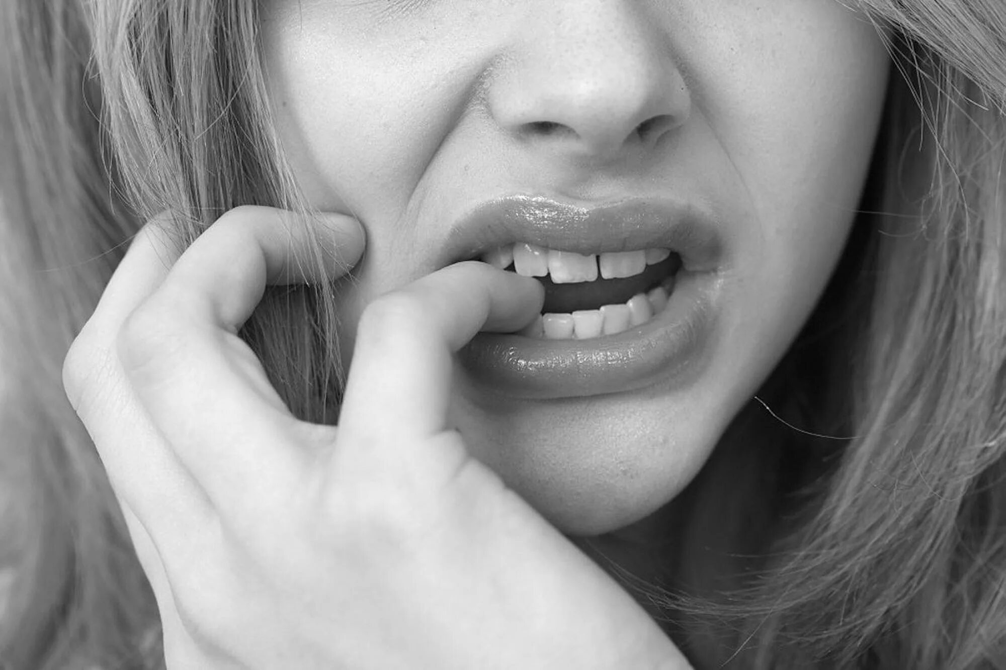 молодые губки