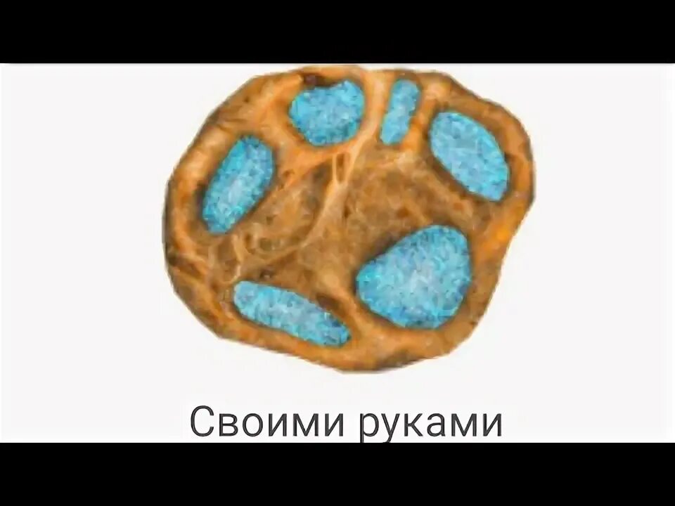 Артефакт каменный цветок зов припяти. Артефакт каменный цветок сталкер тень чернобыля. Сталкер артефакт каменный цветок. Артефакты цветов. Артефакт каменный цветок сталкер тень чернобыля.