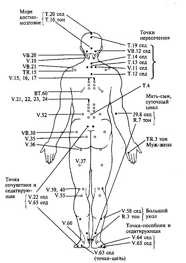 13 точка человека. Акупунктура меридианы тела человека схема. Акупунктура тела человека схема болевые точки. Акупунктура меридианы китайская медицина. Меридианы человека схема и точки акупунктуры.