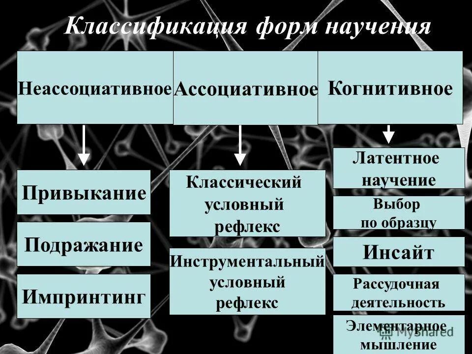 Способ научения. Классификация научения. Классификация видов научения. Классификация научения в психологии. Виды научения примеры.