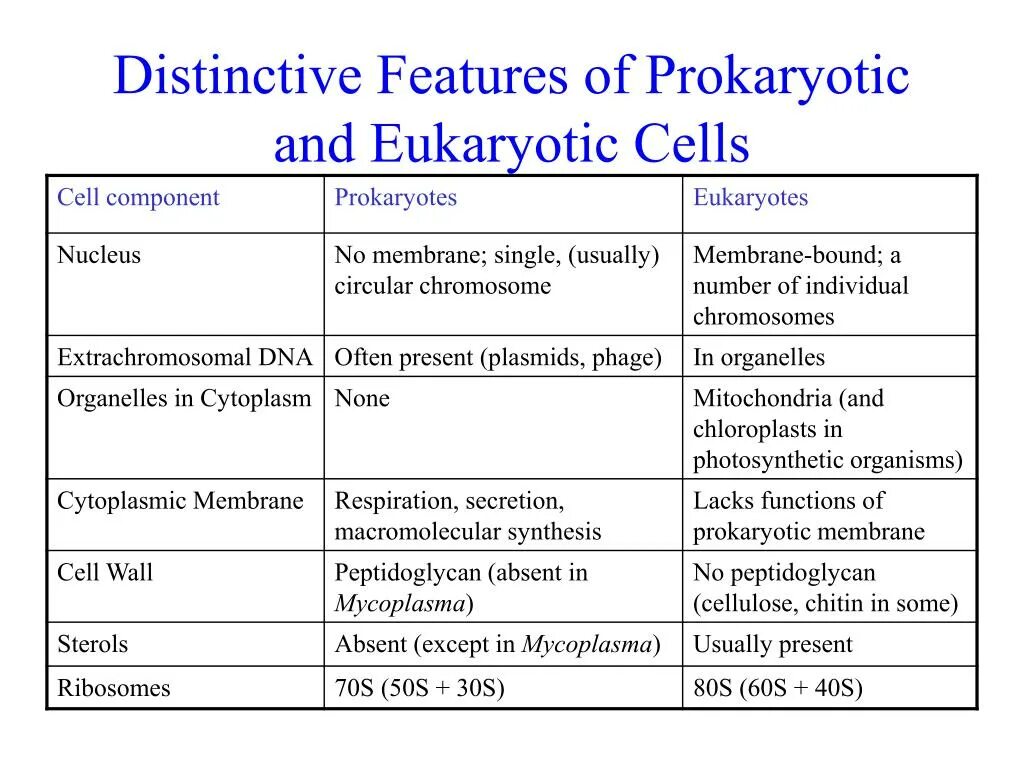 Prokaryotic and eukaryotic Cells. Prokaryotic Cell and eukaryotic Cell. Prokaryotic and eukaryotic Cell structure. Differences between prokaryotic and eukaryotic Cells.