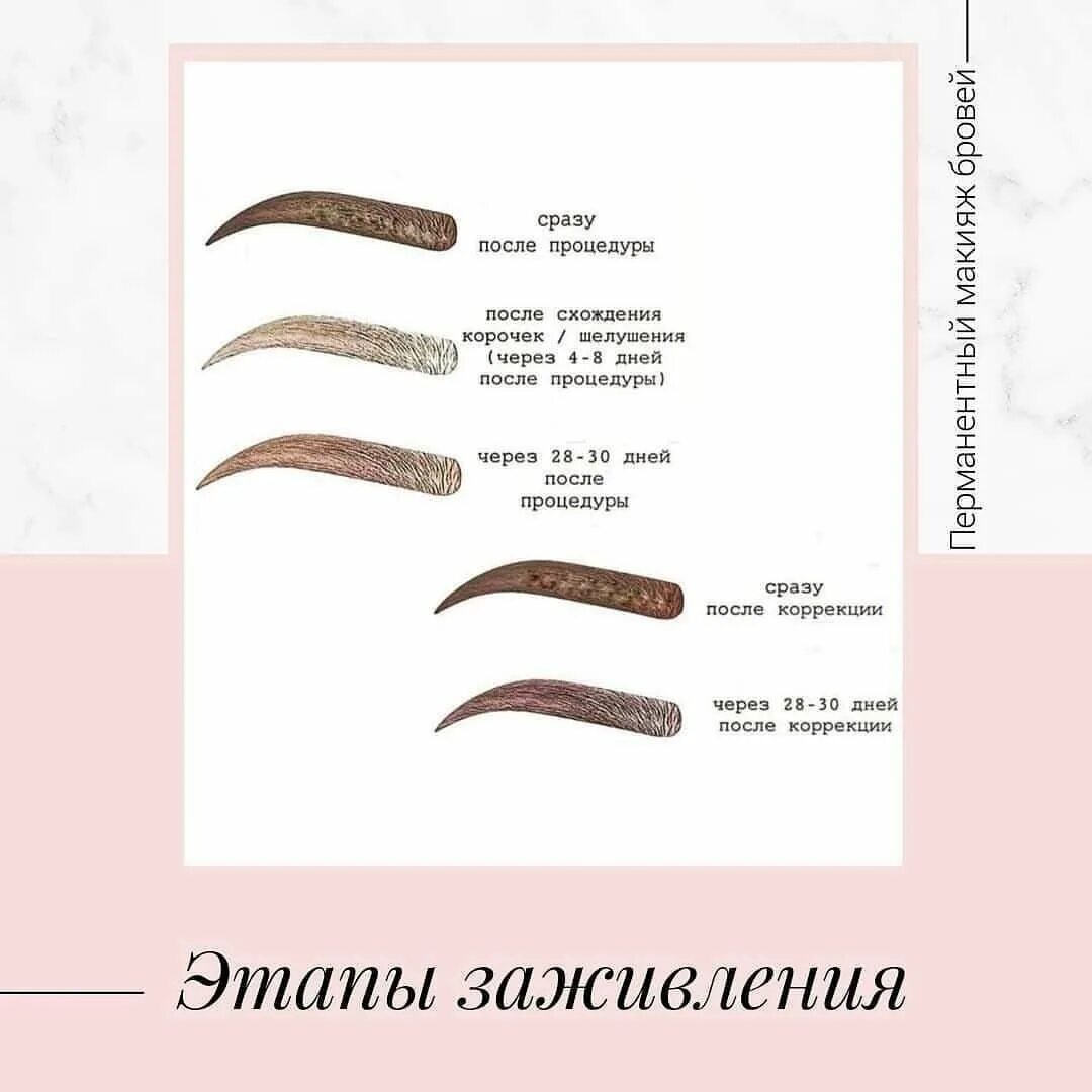 Через сколько заживает перманентный макияж. Перманент бровей этапы заживления. перманентный макияж бровей фазы заживления. этапы схождения корочек после перманента бровей. этапы заживления перманентного макияжа бровей.