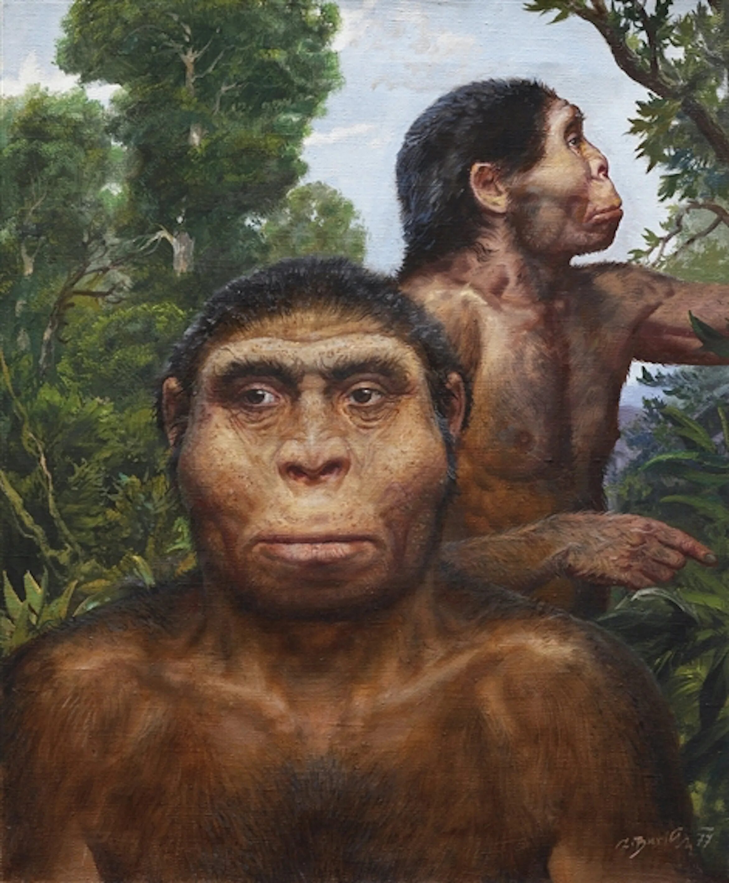 Самого древнего человека. Архантропы (homo Erectus). Homo Erectus Erectus питекантроп. Хомо Эректус. Первобытный человек.. Хомо хабилис хомо Эректус.