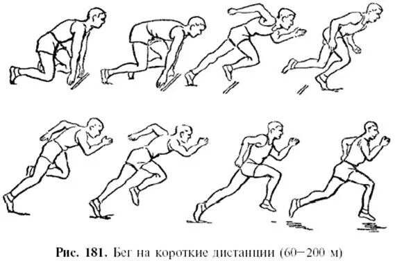 Спринт схема. Техники бега на короткие дистанции техника спринтерского бега. техника бега на короткие дистанции: 60 – 100 м.. этапы бега на короткие дистанции. техника бега спринт.