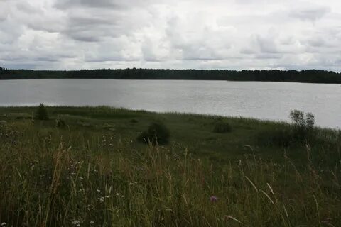Погода в ивантеево