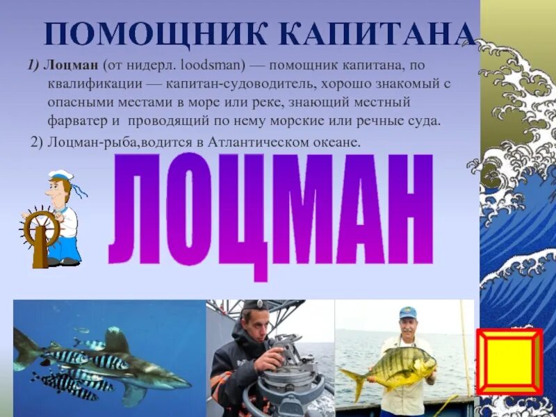 Лучший лоцман. Лоцман профессия. Рыба лоцман. Лоцман на корабле. Форма лоцмана.