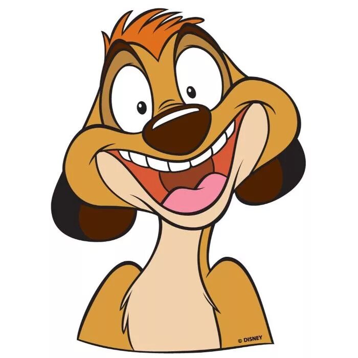 Шрек кумир тридевятого королевства. Радость из мультика. Дрю из гадкий я 3. Мультяшка. Микки маус мультики дисней.