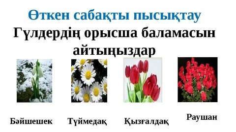 Тығыз секс видеоларындағы аналар