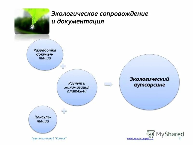 Тест защита окружающей среды