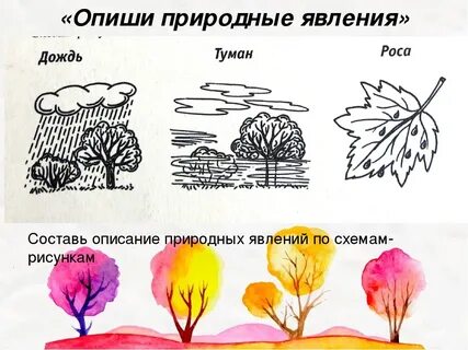 Листопад это живая или неживая