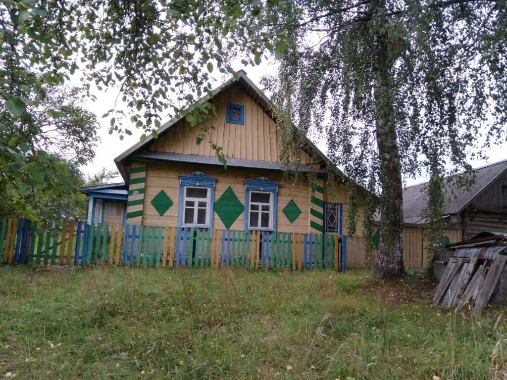 Деревня выгода. Деревня мажа копыльский район. Старый деревянный дом участок. Дом в деревне. Освея белоруссия.