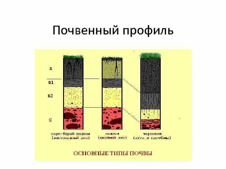 Схематический почвенный профиль. Схема почвенного профиля. Почвенный профиль рисунок. Схема строения почвенного профиля.