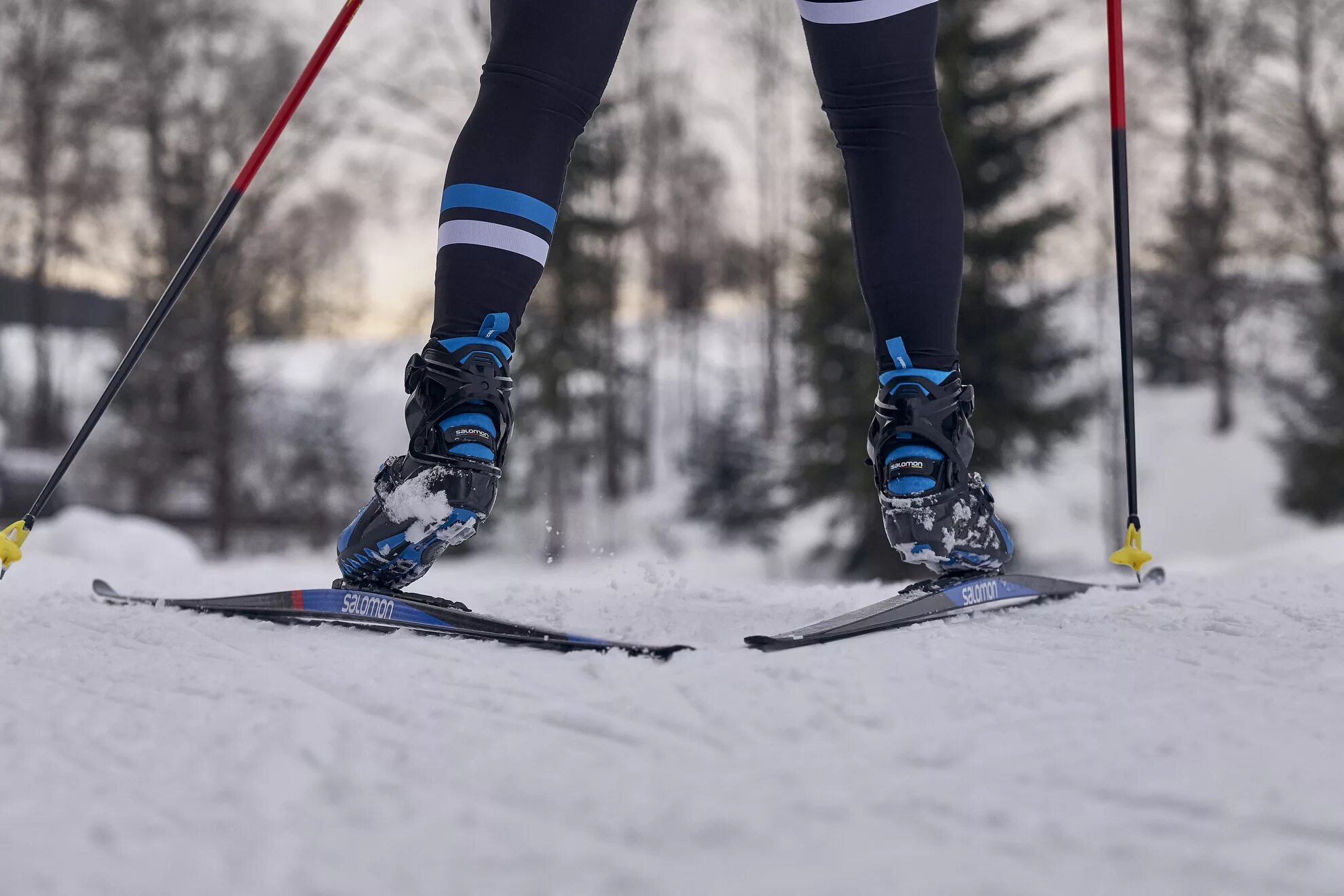 Лыжи lab. Лыжи соломон беговые на снегу. биатлонисты на лыжах salomon. соломон лыжи беговые в лесу. человек на лыжах salomon.