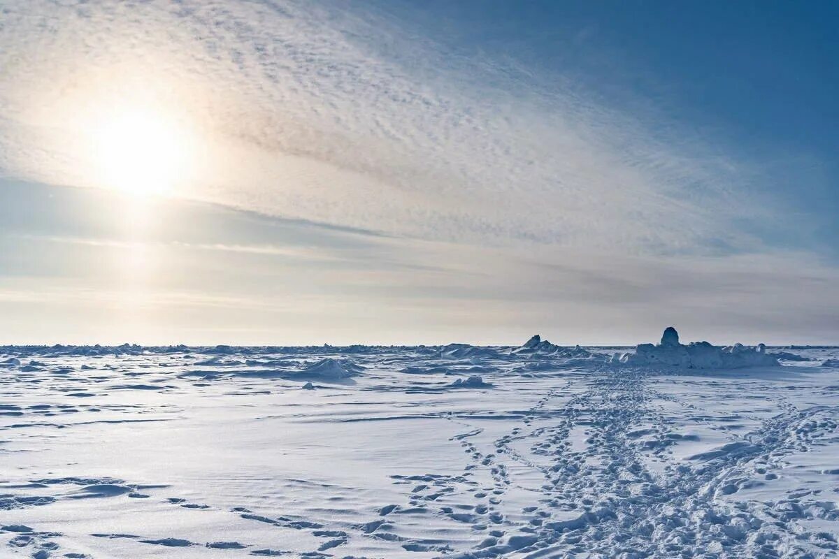 От южных морей до полярного края картинки. Полярный Арктика Антарктика. Северный полюс Арктика. Арктические пустыни Полярный день. Северный полюс Арктика Полярная ночь.