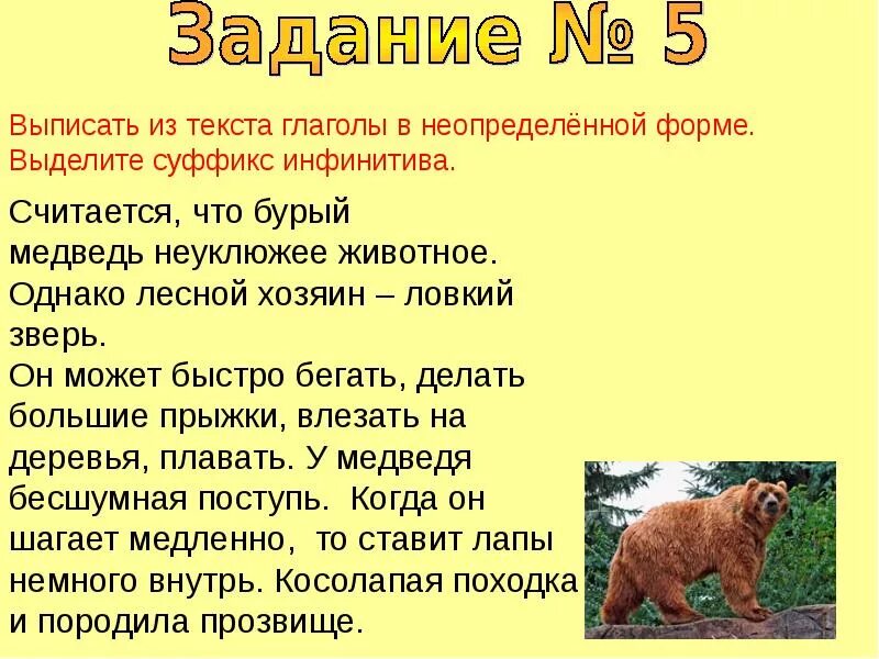 Части слова медведь. Ловкий зверь. Выпиши из текста глаголы с частицей не. Неуклюжий Медвежонок текст. Ловкий зверь текст.