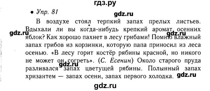 Английский 6 класс страница 81 упражнение 5. Русский язык упражнение 81. Русский язык 6 класс упражнение 81. Гдз по русскому языку 6 класс упражнение 81. Русский язык шестой класс упражнение 127 страница.