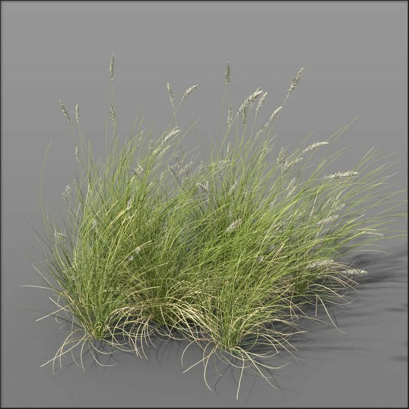 Трава д. Трава 3д модель. трава для фотошопа. модель травы. grass 3d model.