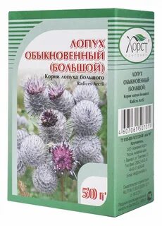 Корень лопуха в медицине