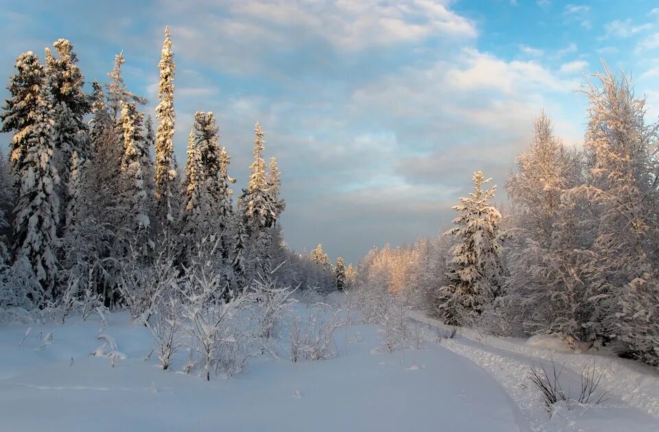 Климат югры. Природа хмао югры. суровый климат югры. пермский край зимой фото. суровый климат россии.