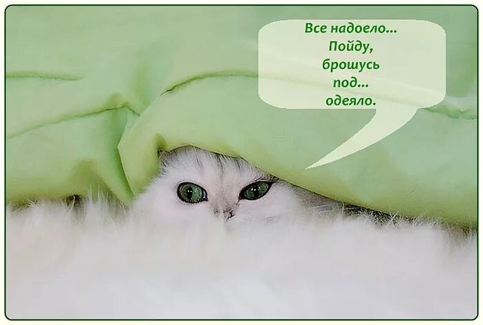 Под одеялом как пишется