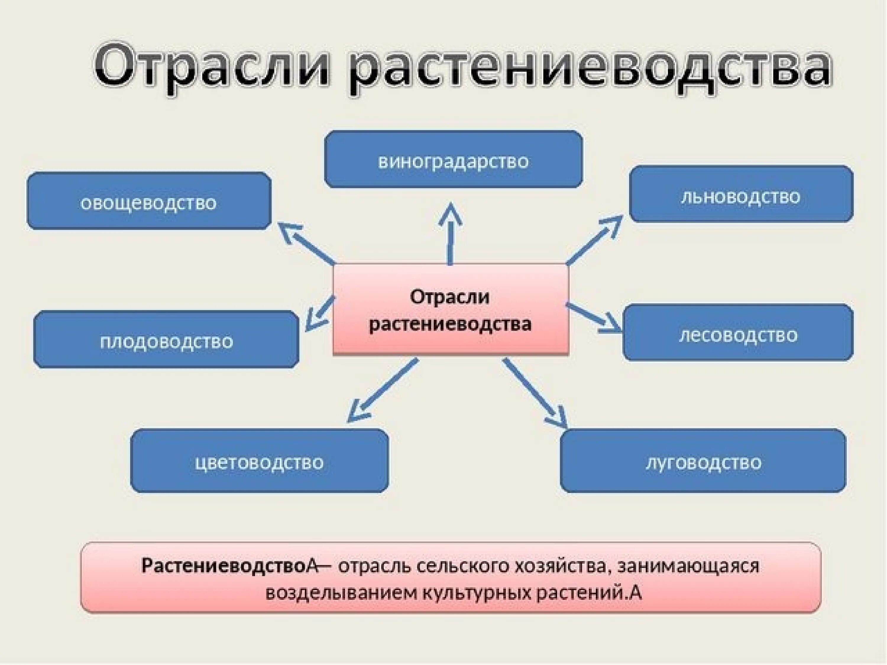 Отрасль является. Отрасли растениеводства. Схема отраслей растениеводства. Классификация растениеводства отраслей. Растениеводство делится на отрасли.