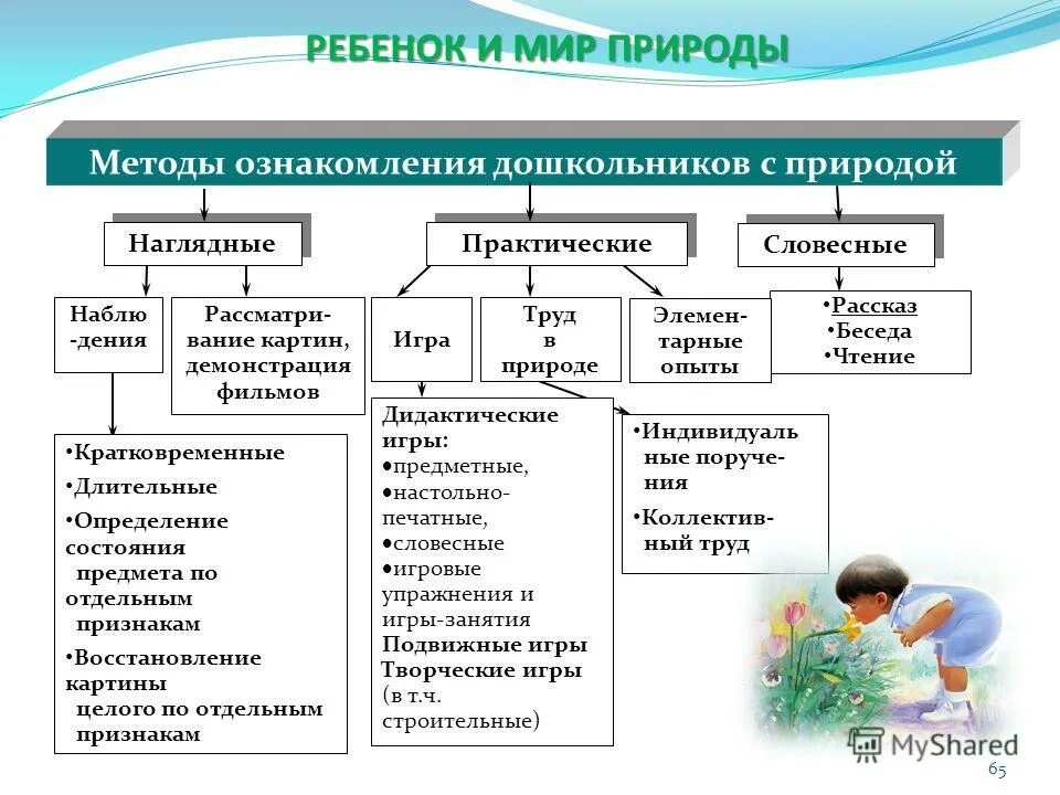 Средством воспитания детей дошкольного возраста являются. Средством воспитания детей дошкольного возраста являются
