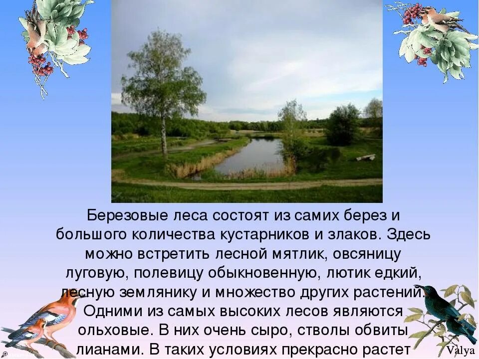 Проект разнообразие природы курской области Презентация "МОЙ РОДНОЙ КУРСКИЙ КРАЙ"