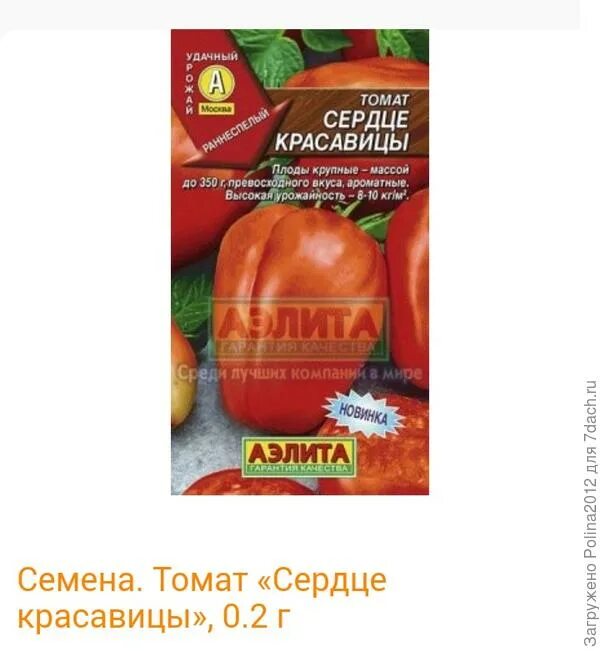 Томат ночная свеча отзывы фото урожайность характеристика. Помидор сорт ночная свеча. Помидоры с свечами. Томат алые свечи сибирский сад. Томат алые свечи сиб сад.