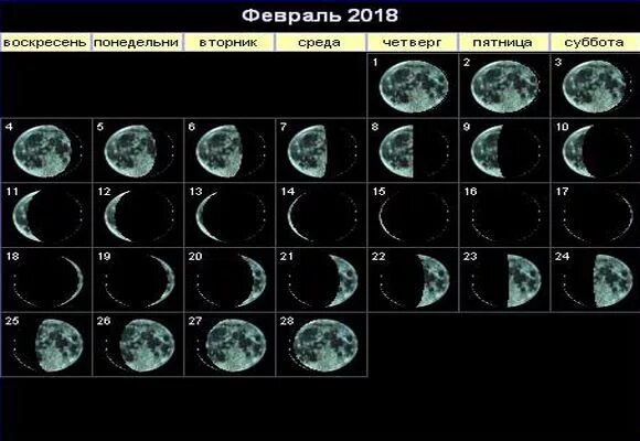 Какая луна была в феврале. Лунные фазы на февраль. Фазы Луны в феврале 2009. Фазы Луны февраль 2000. Луна в разные даты в феврале 2016.