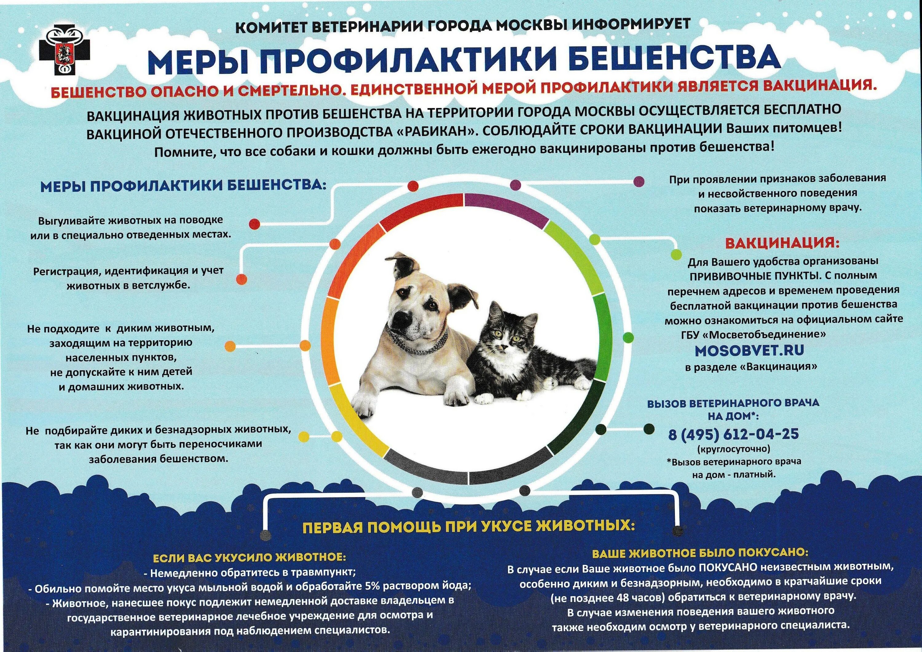 Плюсы и минусы содержания диких животных дома. Меры профилактики бешенства. Профилактика бешенства у животных. Профилактические прививки для животных. Памятка по бешенству животных.