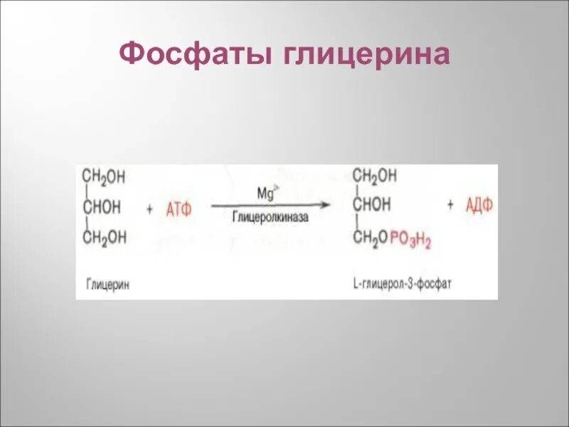 Глицерин фосфор. Глицерин фосфат. глицерина глицерин фосфат. глицерин 3 фосфат. глицерол 3 фосфат из глицерина.