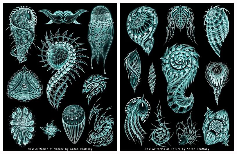 Композиция из стилизованных растений. Стилизованные природные формы. Стилизованные растения. Стилизация. Эрнст геккель атлас рисунков.