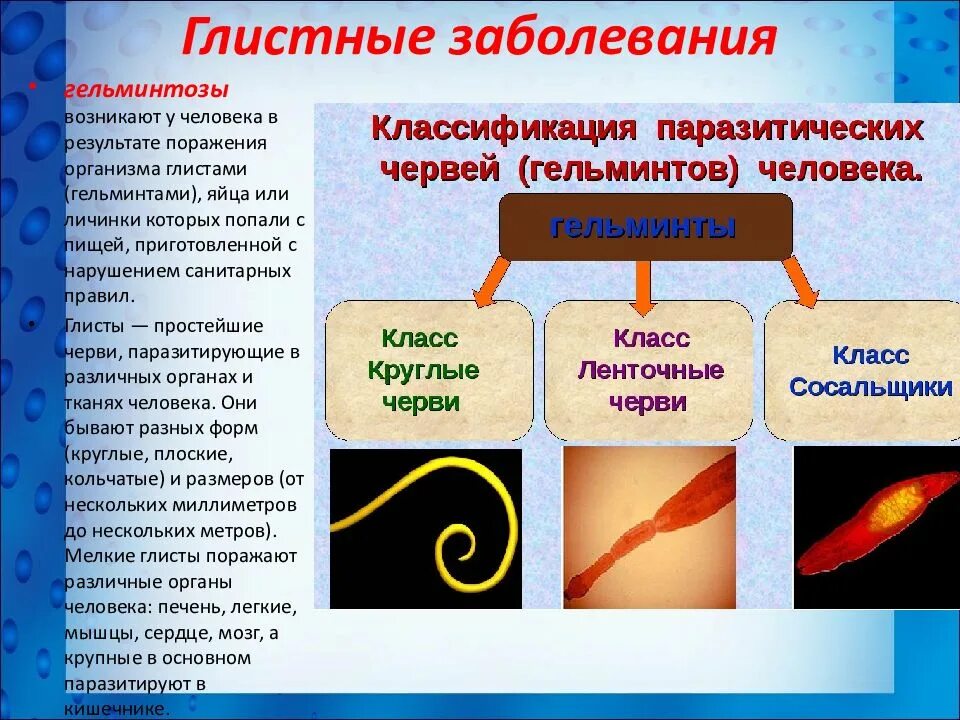 Глистные заболевания гельминтозы. Глистные заболевания виды. Глистные заболевания кратко. Болезнь развивается в результате