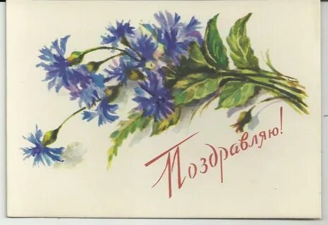 Михась василек