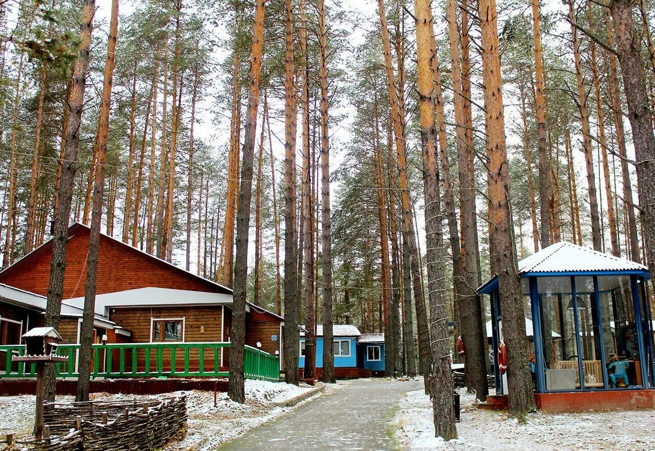 поселок турбаза нижегородская область. ягодная деревушка нижегородская. база отдыха дубки нижегородская. тумботино турбаза кусторка. ягодная деревушка база отдыха нижегородская.