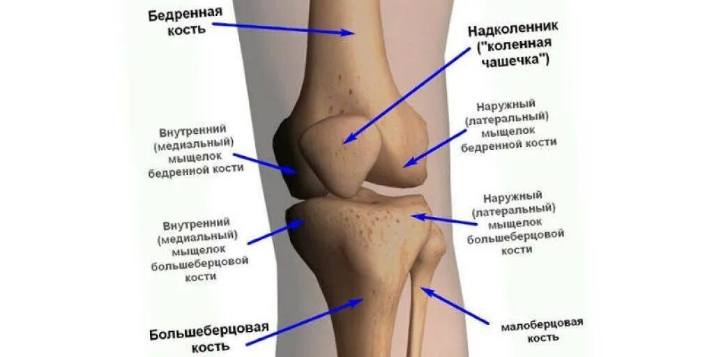 Боль под коленом спереди. Болит колено сбоку с внутренней стороны при ходьбе. Болит косточка под коленной чашечкой спереди. Строение колена болит сбоку. Болит колено при сгибании с внутренней стороны сбоку.