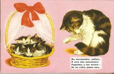 Она родила 1 котенка