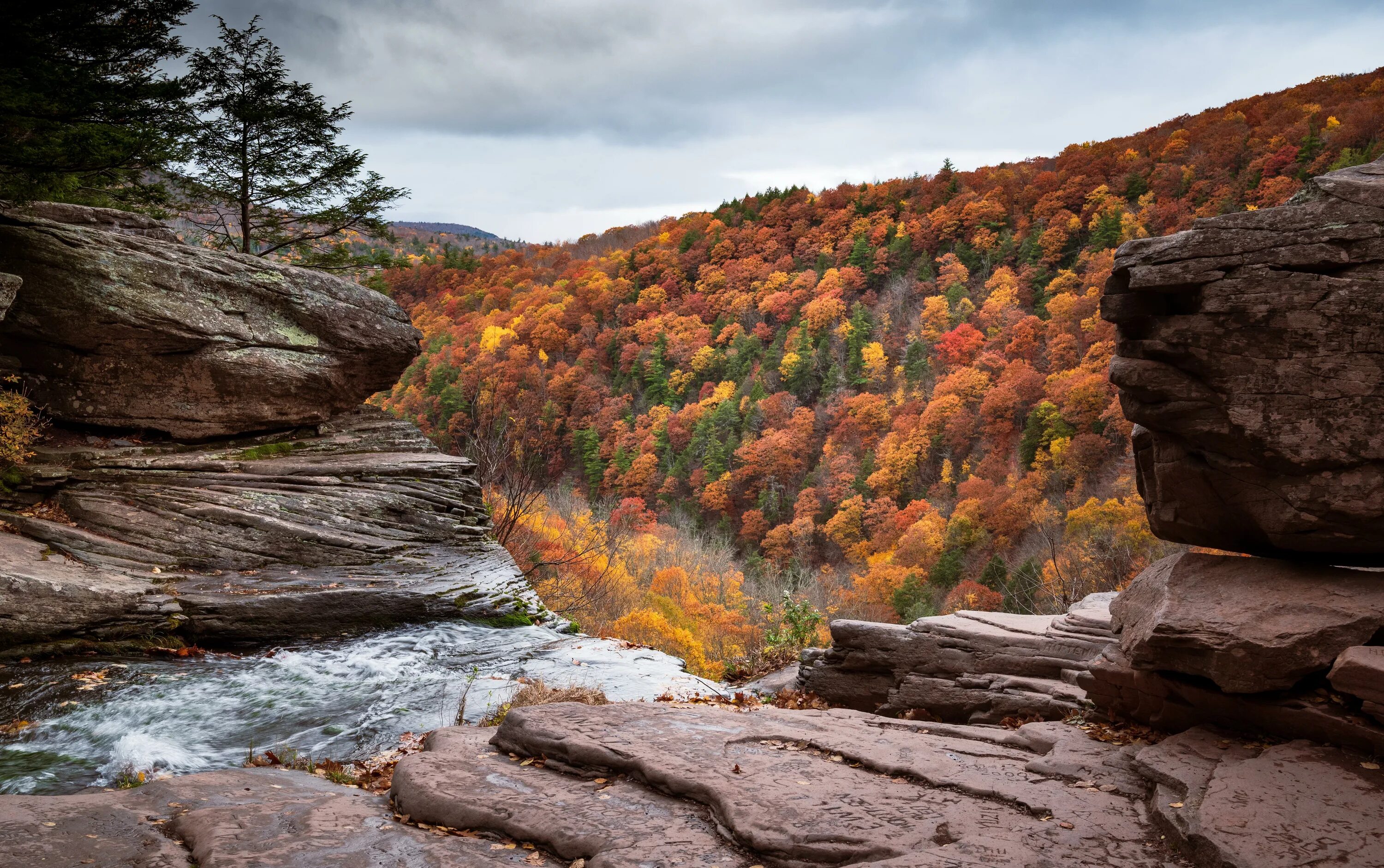 Fall five