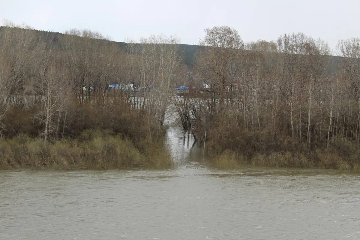 Кузфишь новокузнецк уровень воды. Уровень воды река Томь в Новокузнецке. Река Томь Новокузнецк. Уровень воды в Томи в Новокузнецке. Уровень реки Томь в Новокузнецке.