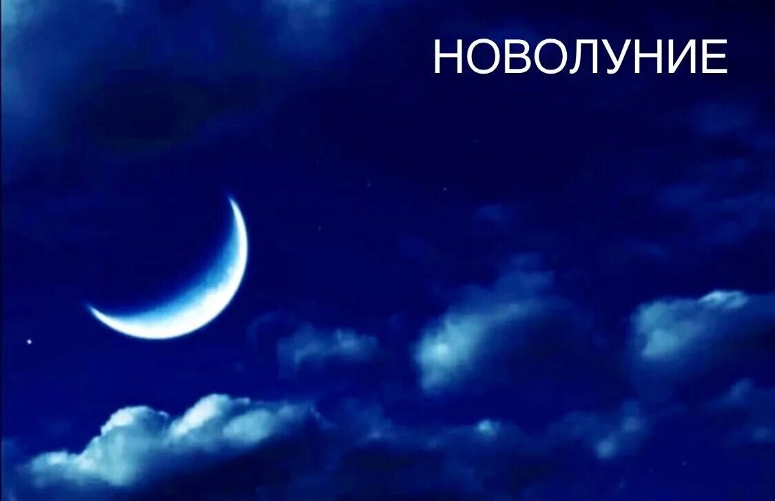 Исполнение желаний в полнолуние. Лотос новолуние. Фон для астролога. Лунные карты новолуние. Кармическое новолуние.