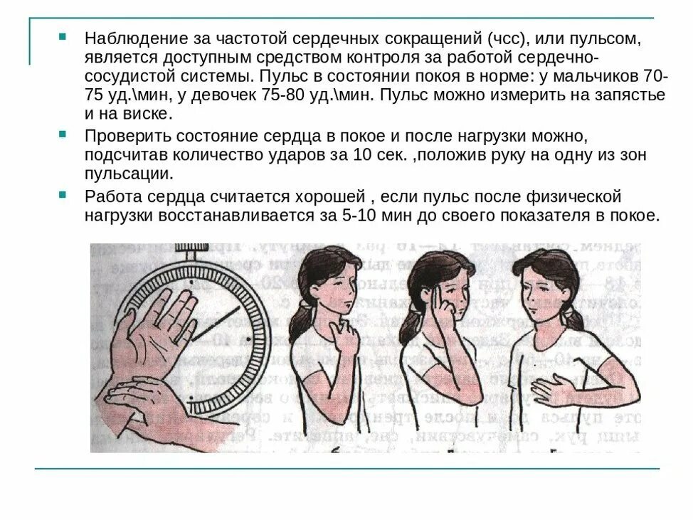 Тест ударов в минуту. Как определяется частота пульса. Способы измерения частоты сердечных сокращений. Где можно измерять пульс частоту сердечных сокращений. Техника измерения ЧСС.