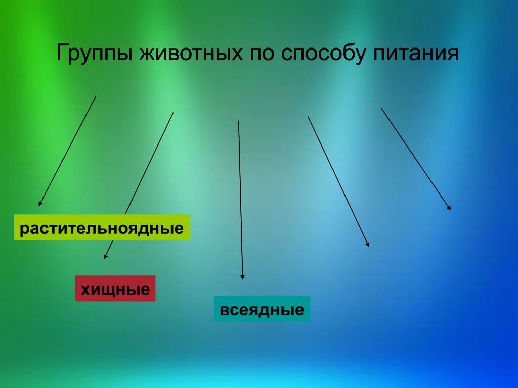 Группы животных по способу питания. Группы животных по способу питания 6 класс биология. 4 Группы животных по способу питания. Способы питания животных 6 класс. 3 группы животных по способу питания