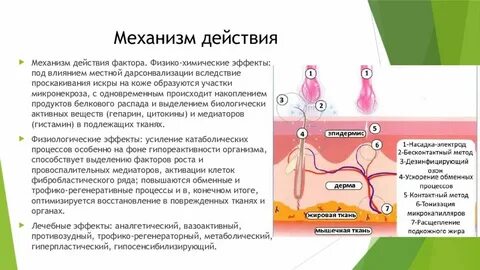 Каков механизм в тканях