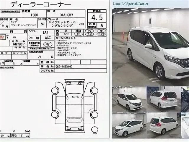 Honda freed размеры. Габариты Хонда Фрид 2018. Ширина багажника в Honda freed. Honda freed высота кузова. Honda freed 2012 габариты.