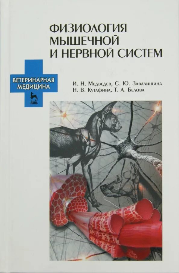 Физиология авторы книг. Книга физиологии ветеринария. физиология нервной системы. нервная система книги. физиология мышечной системы.
