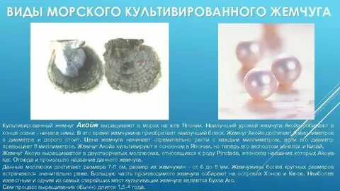 Регион который называют жемчужиной