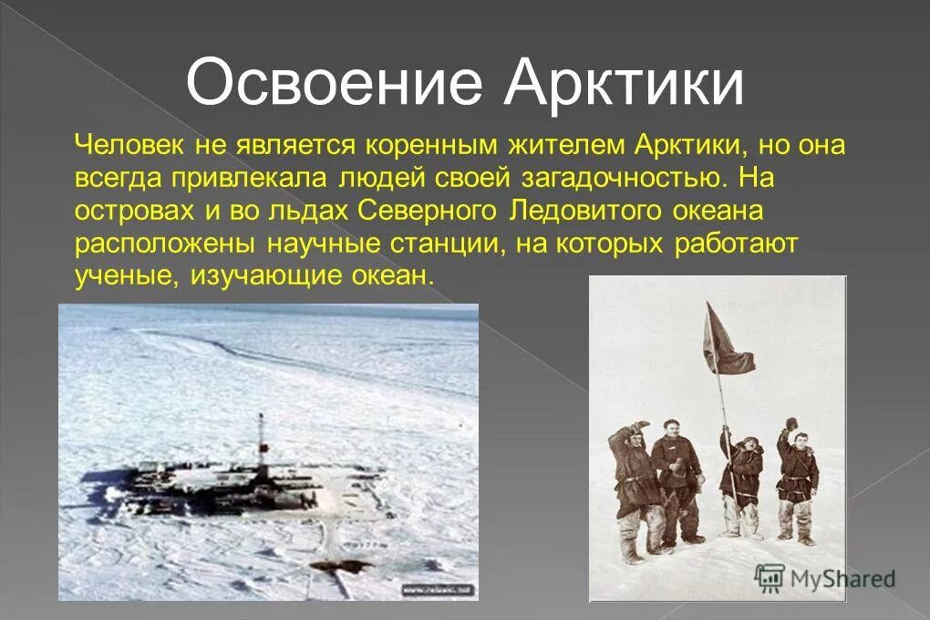Сообщение исследование арктики. Освоение арктики человеком. освоение арктической пустыни.