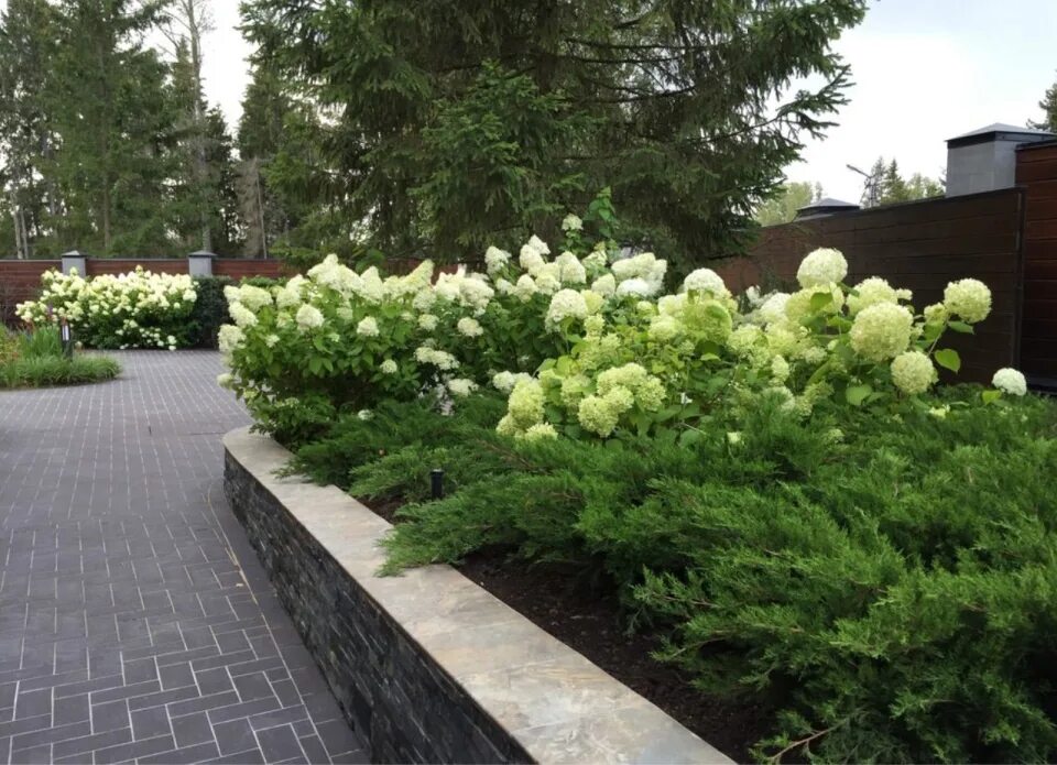 Front garden landscape, Courtyard gardens design, Garden planing