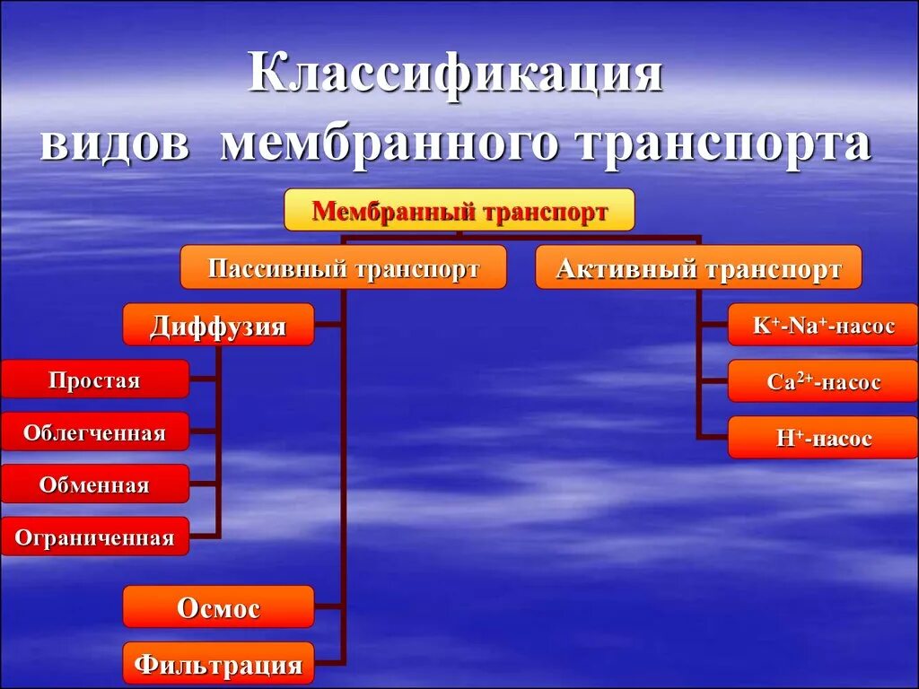 Классификация мембранного транспорта. Классификация активного транспорта. Классификация пассивного транспорта. Транспортные системы мембран. Типы пассивных систем